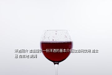 洋酒簡(jiǎn)介 誰能提供一份洋酒的基本介紹及如何飲用 威士忌 白蘭地 朗姆
