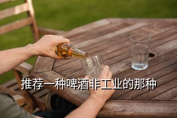 推薦一種啤酒非工業的那種