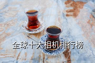 全球十大相機排行榜