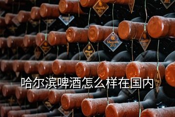哈爾濱啤酒怎么樣在國內