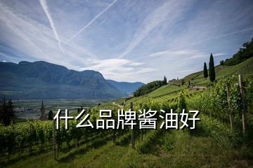 什么品牌醬油好