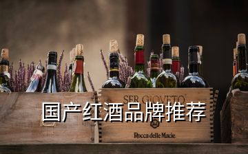 國產紅酒品牌推薦