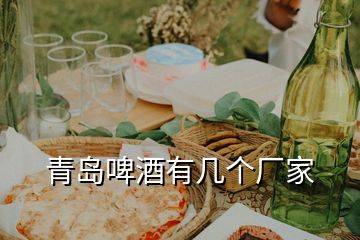 青島啤酒有幾個廠家