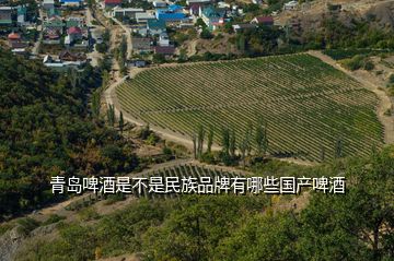 青島啤酒是不是民族品牌有哪些國產啤酒