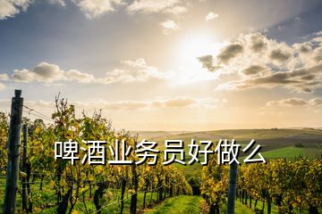 啤酒業務員好做么