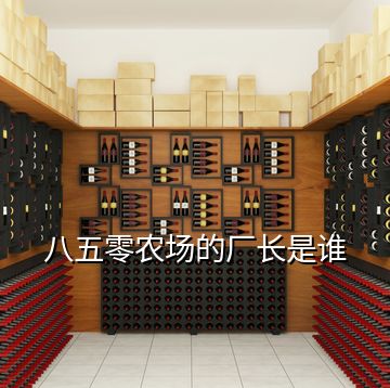 八五零農場的廠長是誰