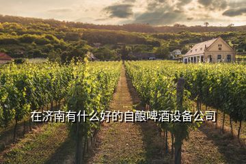 在濟南有什么好的自釀啤酒設備公司