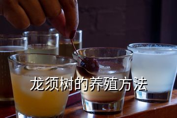 龍須樹的養殖方法