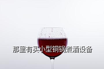 那里有買小型銅鍋煮酒設備