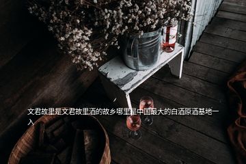 文君故里是文君故里酒的故鄉哪里是中國最大的白酒原酒基地一入