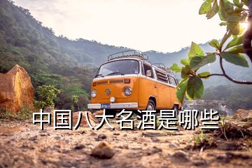 中國八大名酒是哪些