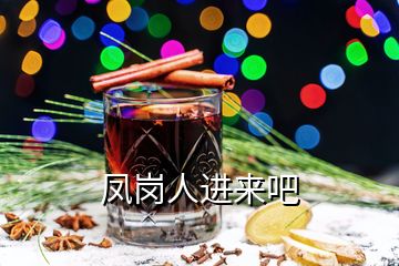鳳崗人進來吧