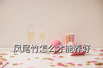 鳳尾竹怎么才能養好