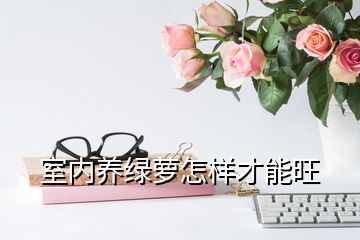 室內養綠蘿怎樣才能旺