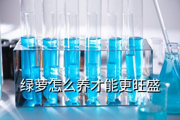 綠蘿怎么養才能更旺盛
