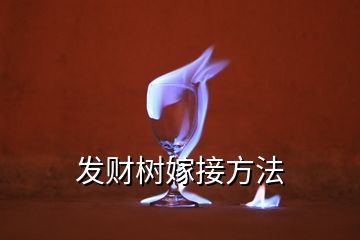 發財樹嫁接方法