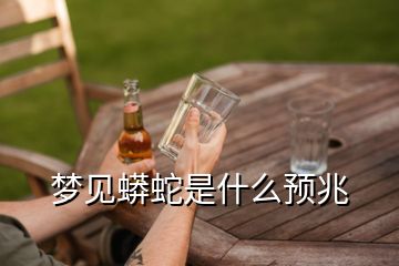 夢(mèng)見蟒蛇是什么預(yù)兆