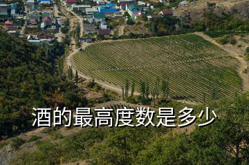 酒的最高度數是多少