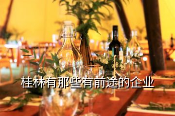 桂林有那些有前途的企業