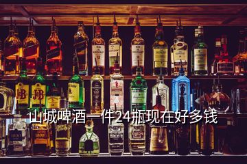 山城啤酒一件24瓶現在好多錢
