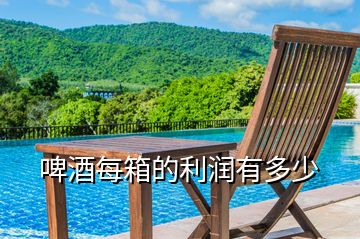 啤酒每箱的利潤有多少