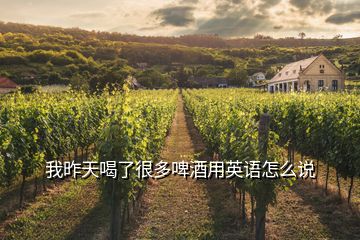 我昨天喝了很多啤酒用英語(yǔ)怎么說(shuō)