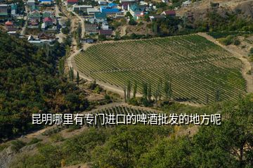 昆明哪里有專門進口的啤酒批發(fā)的地方呢