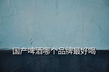 國產啤酒哪個品牌最好喝
