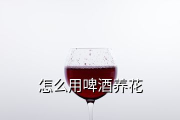 怎么用啤酒養花