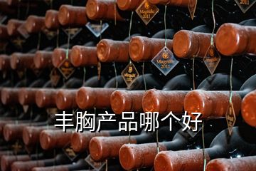 豐胸產品哪個好