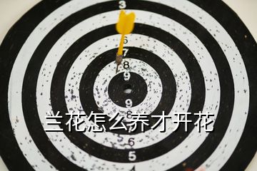 蘭花怎么養才開花