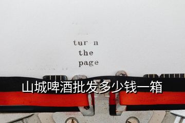 山城啤酒批發多少錢一箱