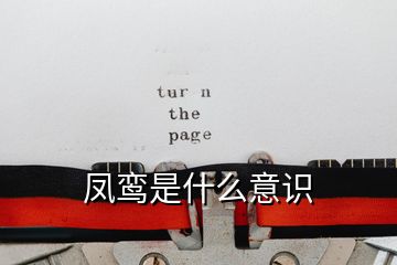 鳳鸞是什么意識