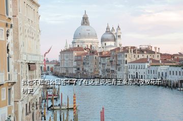 我也不知怎么回答不了了在這里說吧青玉案東風(fēng)夜放花千樹更