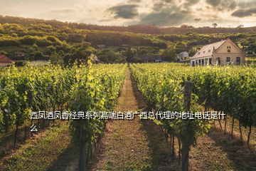 西鳳酒鳳香經典系列高端白酒廣西總代理的地址電話是什么