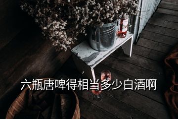六瓶唐啤得相當多少白酒啊