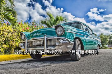 沈陽龍江家園白酒業(yè)務(wù)員一個(gè)月能賺多錢啊