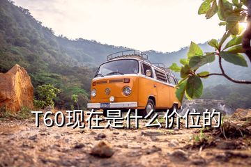 T60現在是什么價位的