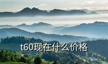 t60現在什么價格