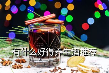 有什么好得養生酒推薦