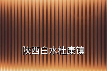 陜西白水杜康鎮