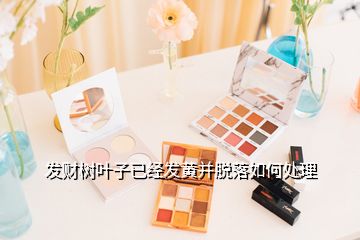 發財樹葉子已經發黃并脫落如何處理