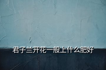 君子蘭開(kāi)花一般上什么肥好