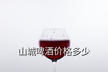 山城啤酒價(jià)格多少