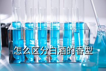 怎么區分白酒的香型