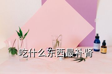 吃什么東西最補腎