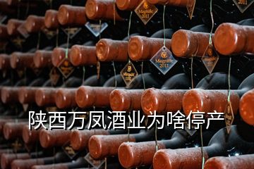陜西萬鳳酒業為啥停產