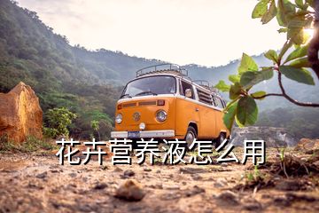 花卉營養液怎么用
