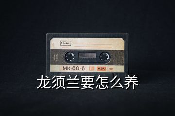 龍須蘭要怎么養