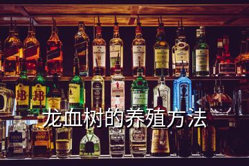 龍血樹的養殖方法